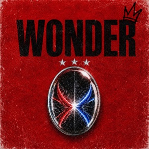 Pochette de Wonder